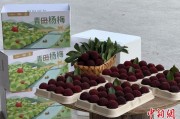 在线日历高速赋能产业升级：一条“杨梅路”的致富密码