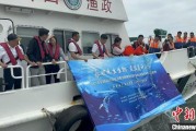 在线日历浙江今年计划放流种类海洋水生生物苗种超15亿单位