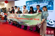 在线日历中国彩绘熊猫艺术国际巡展东京站开幕