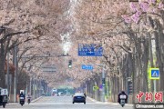 在线日历共建“花园城市” 北京这场议政会“百花齐放”