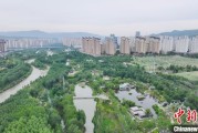 在线日历西宁市举办六五环境日主题宣传活动